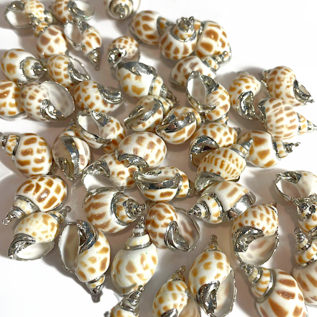 BUZIOS - CARACOLES ELECTRO PLATEADO (15X25MM APROX) (MAR)