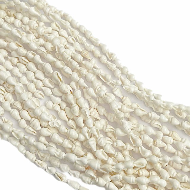 BUZIOS - CARACOLES BLANCOS 9X6MM APROX (MAR)