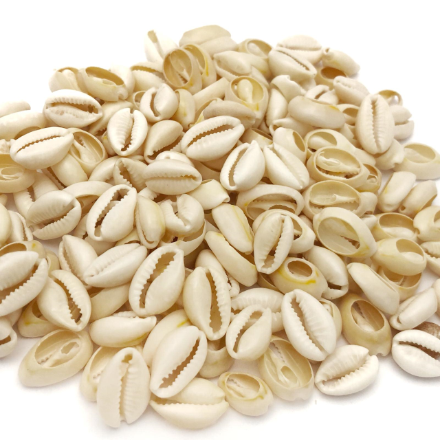 BUZIOS - (17X12-20X14MM APROX) (MAR)